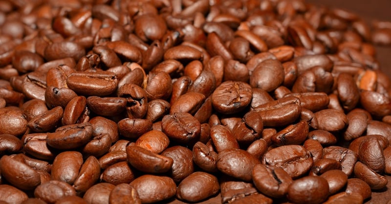Enchanting Brews